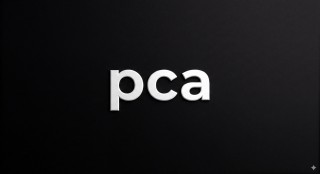 Personal Car Assistance